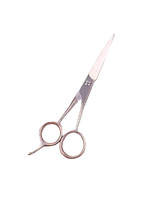 Ref: 3-010/G | Barber Scissor